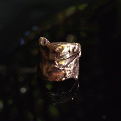 Landscape Ring