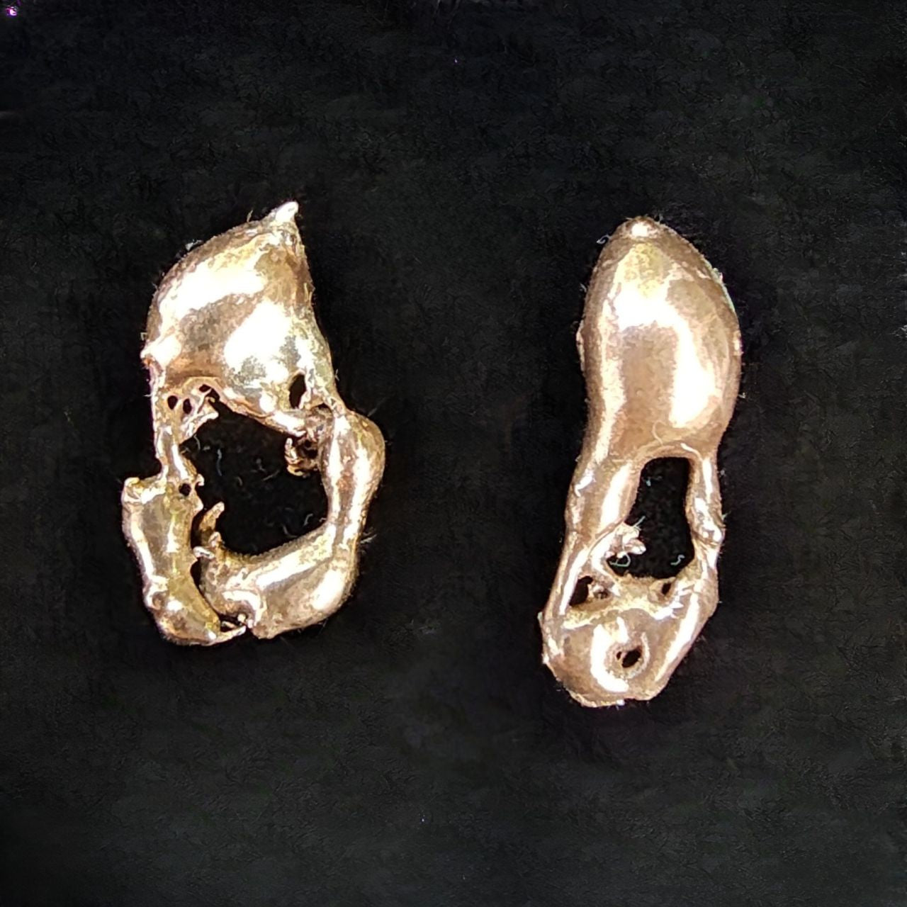 'Lusus' Studs B