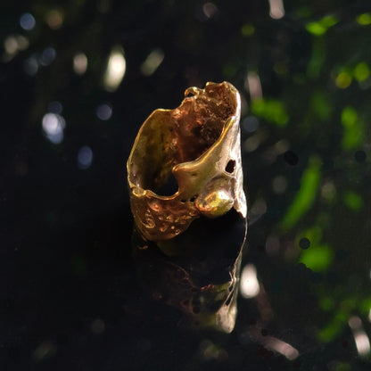 Pitted Ring
